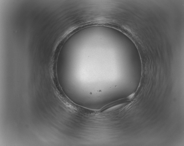 X0000074961410200609221745