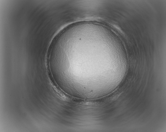 X0000074961412200609221745