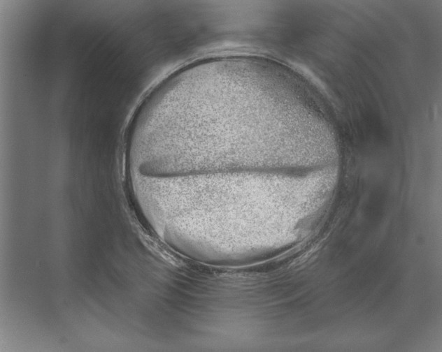 X0000074961413200609221745