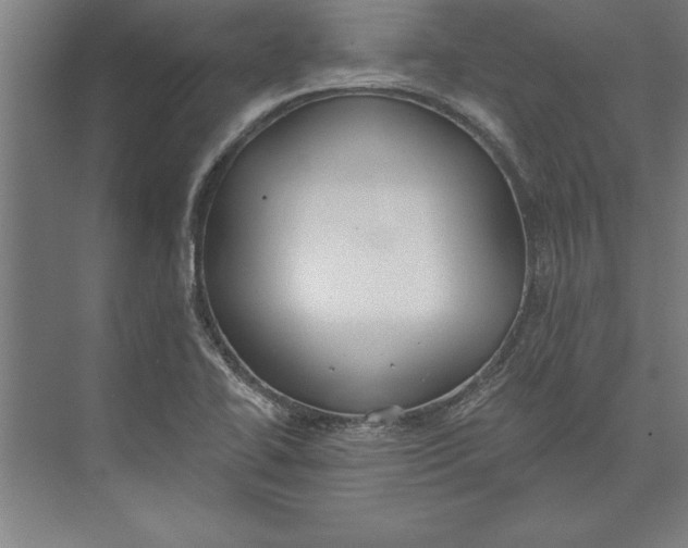 X0000074961414200609221745