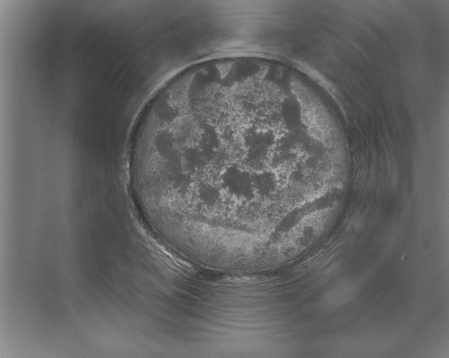 X0000074961415200609221745