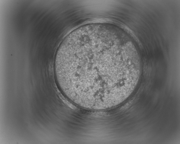 X0000074961417200609221745