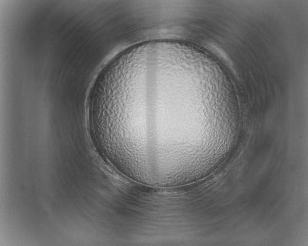 X0000074961419200609221745