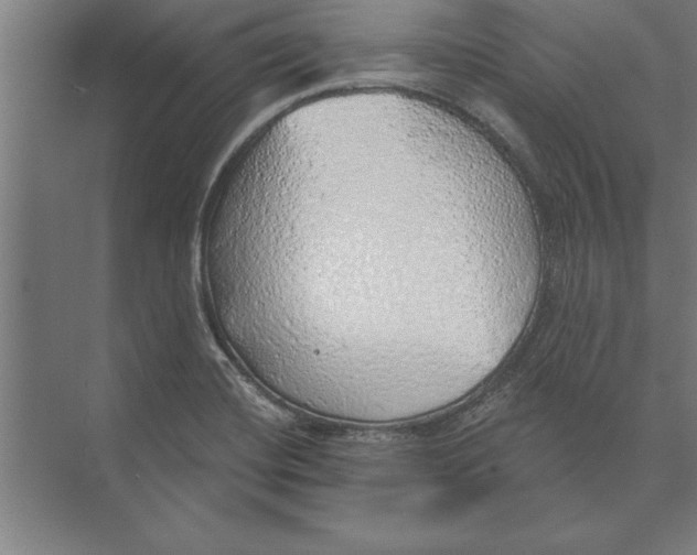 X0000074961420200609221745