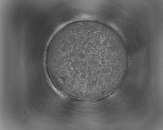 X0000074961421200609221745