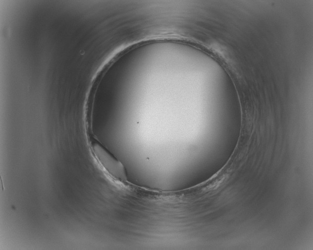 X0000074961422200609221745