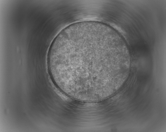 X0000074961423200609221745