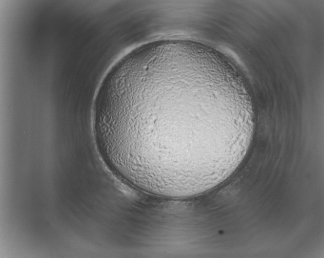 X0000074961424200609221745