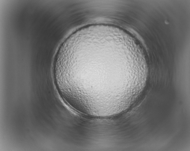 X0000074961429200609221745