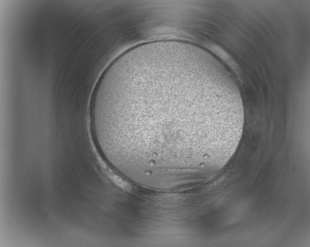 X0000074961431200609221745