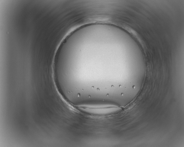 X0000074961432200609221745