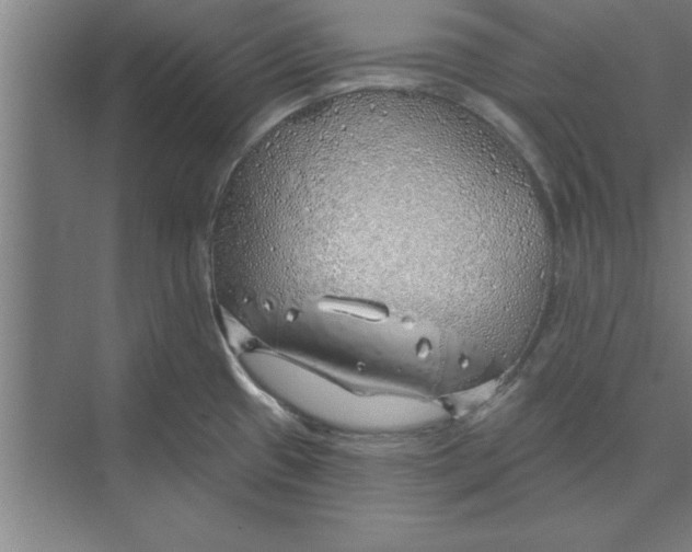 X0000074961433200609221745