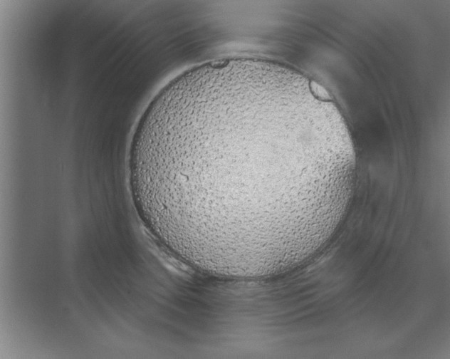 X0000074961435200609221745