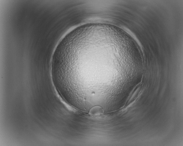 X0000074961437200609221745