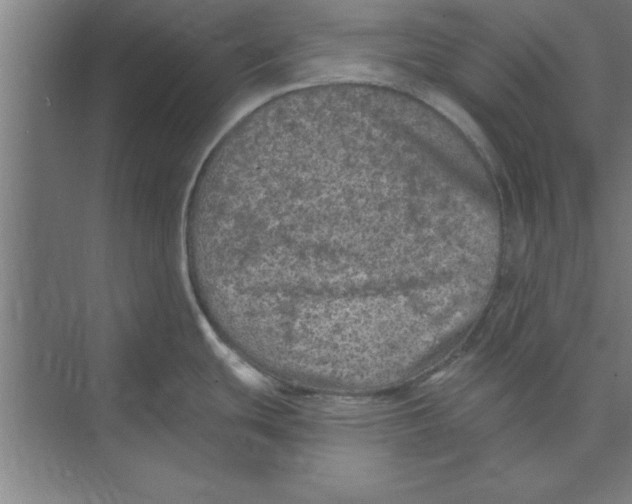 X0000074961439200609221745