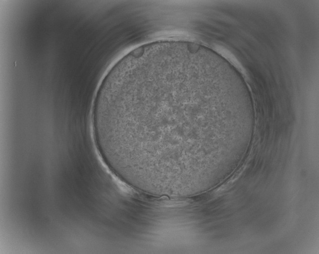 X0000074961440200609221745