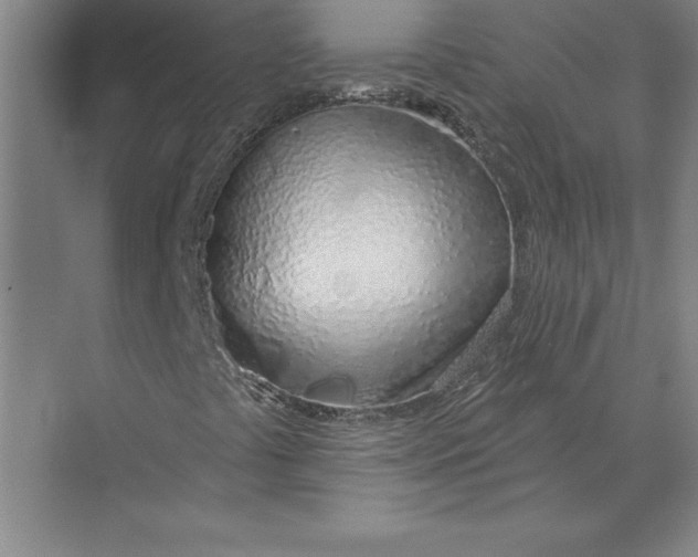 X0000074961441200609221745