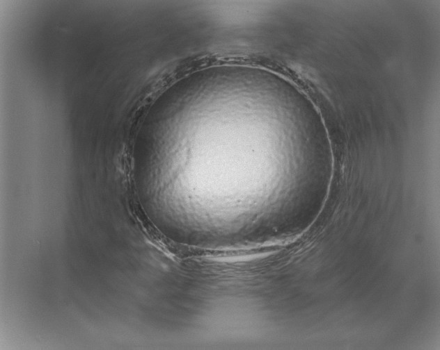 X0000074961445200609221745