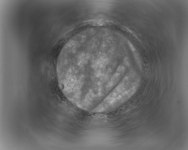 X0000074961446200609221745