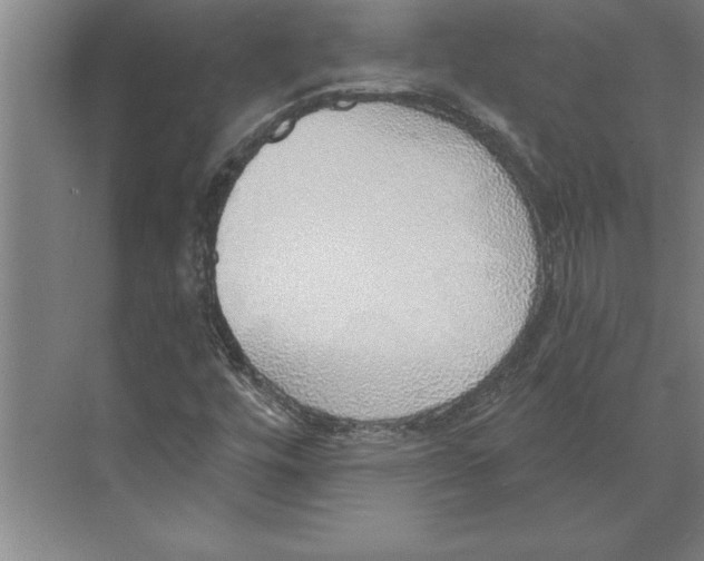 X0000074961448200609221745