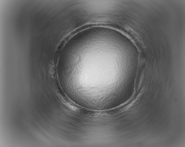 X0000074961449200609221745