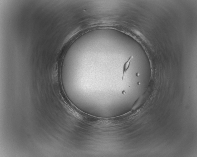 X0000074961450200609221744