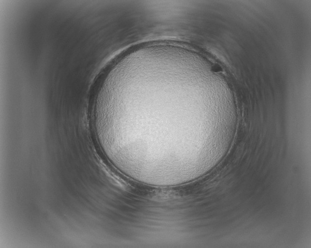 X0000074961452200609221744