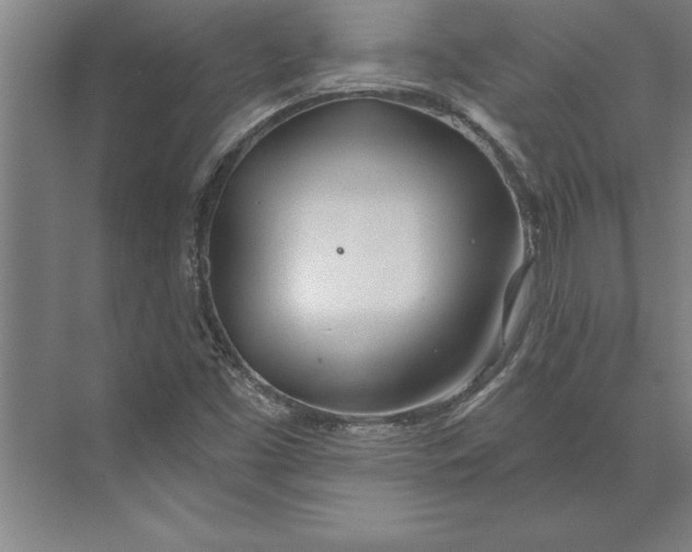 X0000074961453200609221744