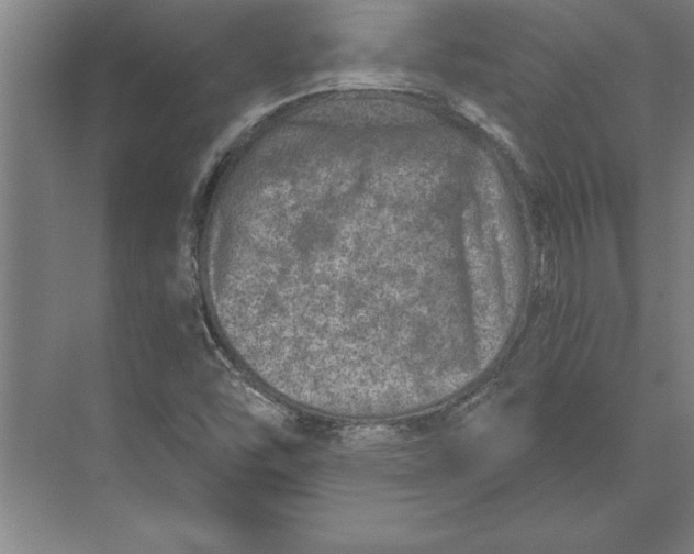 X0000074961454200609221744