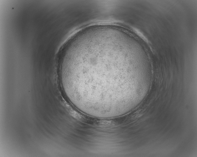 X0000074961456200609221744