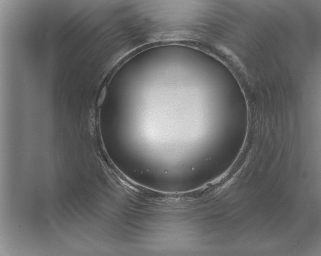 X0000074961457200609221744