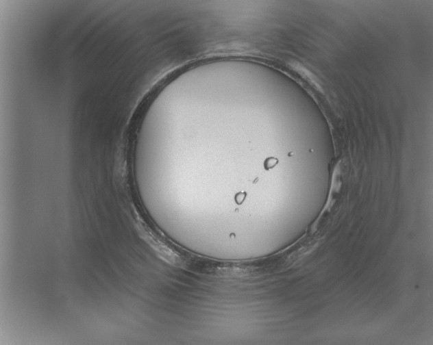 X0000074961458200609221744