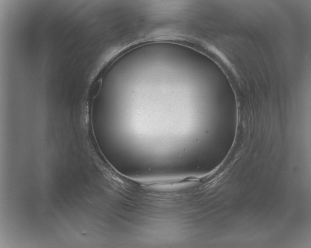 X0000074961461200609221744