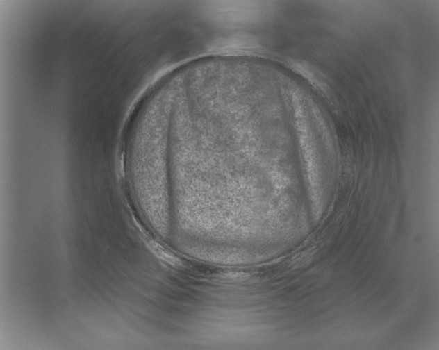 X0000074961462200609221744