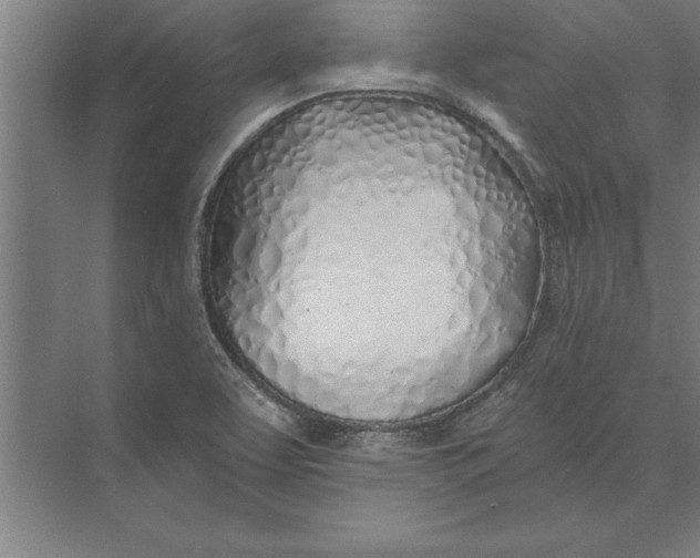 X0000074961463200609221744