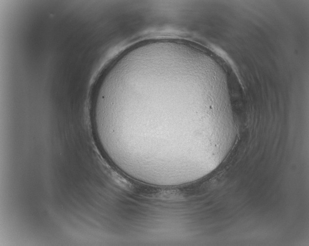 X0000074961464200609221744