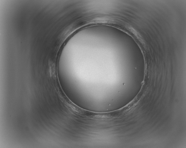 X0000074961465200609221744