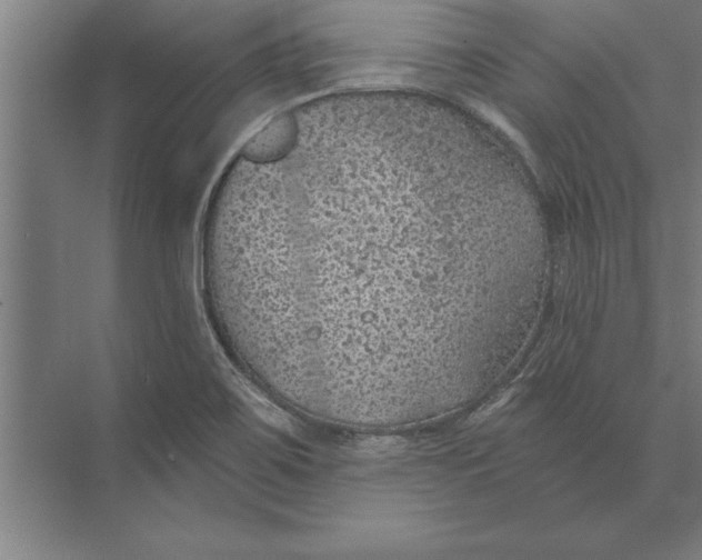 X0000074961467200609221744