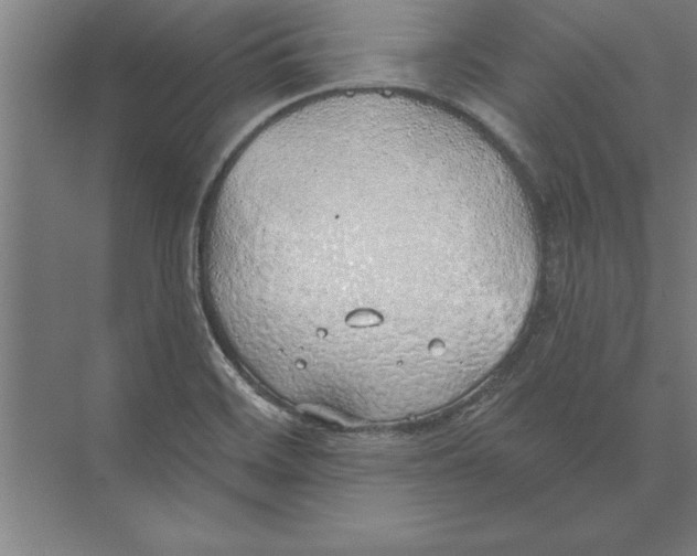 X0000074961468200609221744