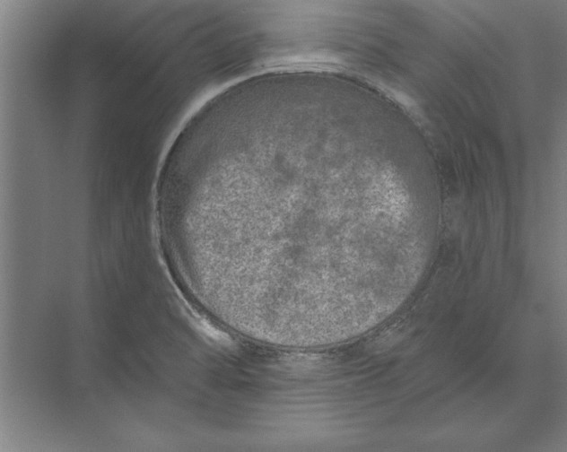 X0000074961470200609221744