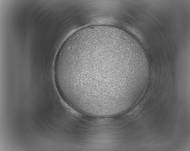 X0000074961471200609221744