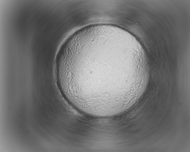 X0000074961472200609221744