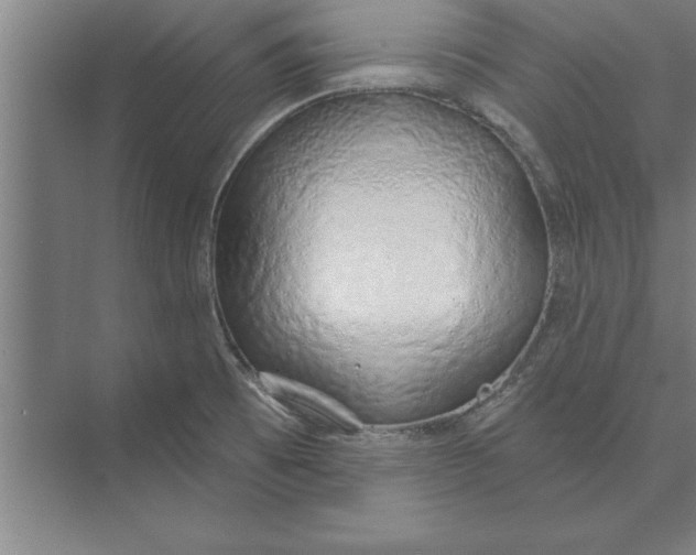 X0000074961473200609221744