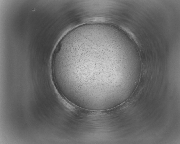 X0000074961475200609221744