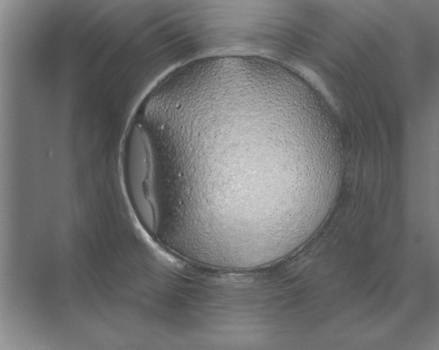 X0000074961476200609221744