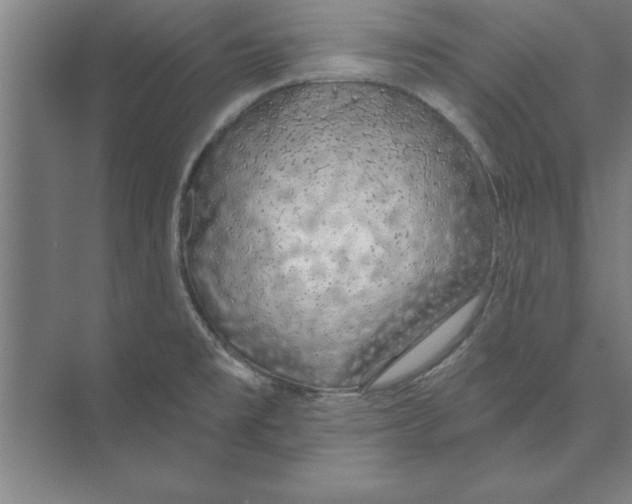 X0000074961477200609221744