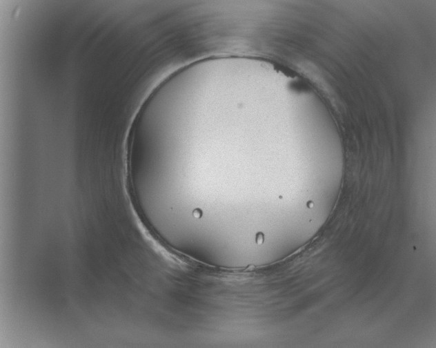 X0000074961479200609221744