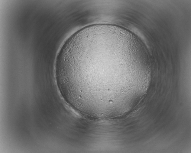 X0000074961480200609221744