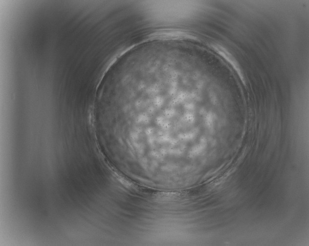 X0000074961481200609221744