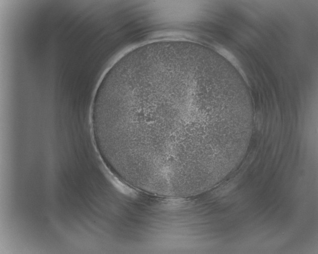 X0000074961482200609221744